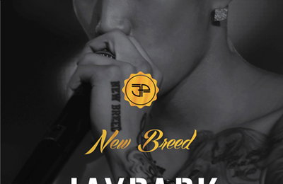 박재범, 콘서트 DVD ‘NEW BREED LIVE IN SEOUL’ 판매 대박행진