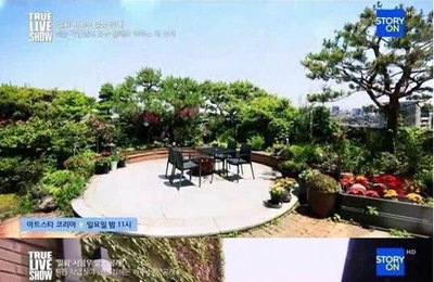 김혜은, 미니정원과 노천탕 있는 초호화 아파트 화제
