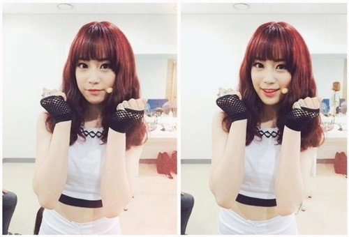 허영지