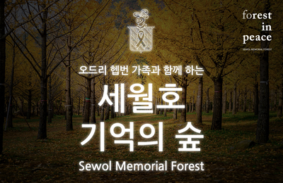 '세월호 기억의 숲' 오드리 헵번 가족, 팽목항 인근 조성 계획