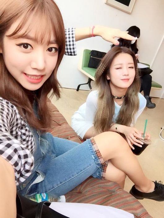 [사진]에이핑크 공식 트위터