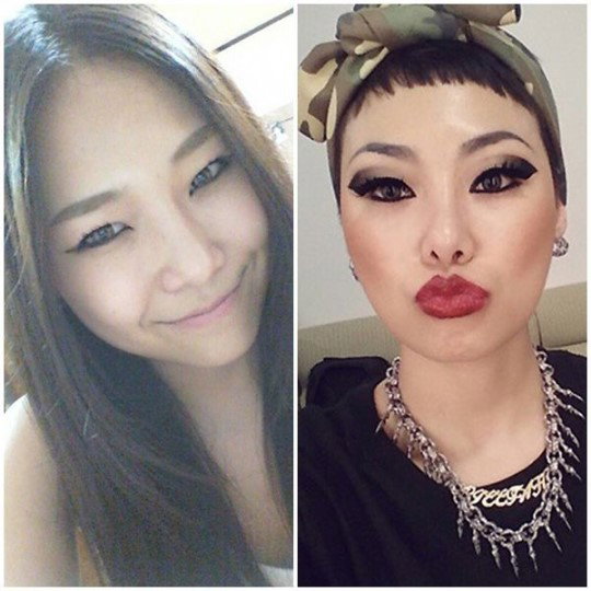 [사진]치타 인스타그램