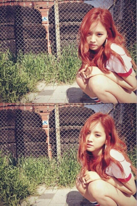 [사진]에이핑크 공식 트위터