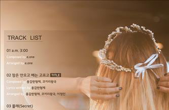 나인뮤지스, 새앨범 '로스트'…"용감한형제와 작업"