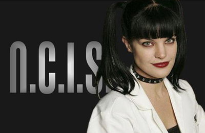 美 드라마 'NCIS' 여배우 폴리 페럿 집앞서 폭행