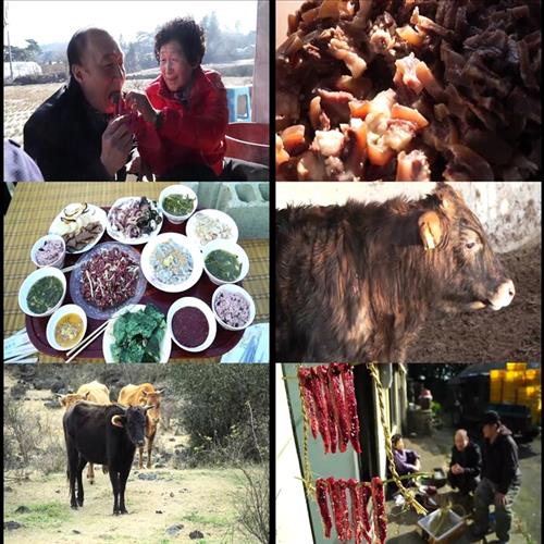 [사진]KBS 1TV '일두백미(一頭百味) 소고기 밥상' 방송화면 캡처