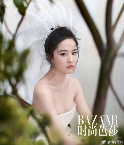 [사진]바자(BAZAAR)
