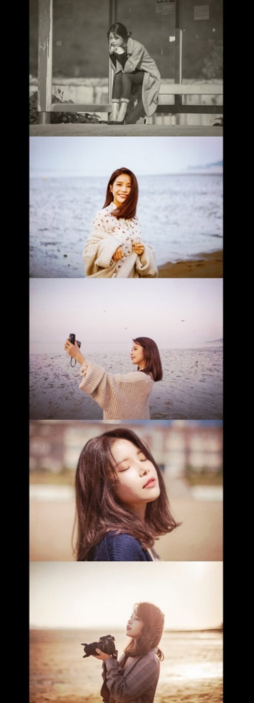 솔라