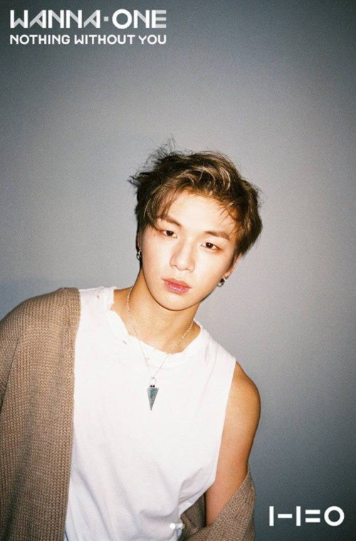 [사진]워너원 SNS 