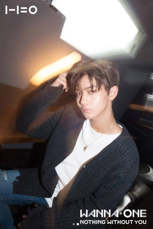 배진영