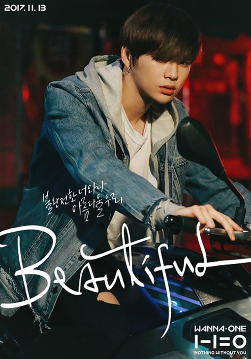 [사진]YMC 제공