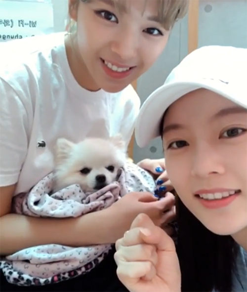 [사진] 공승연 인스타그램