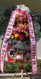 '나혼자산다', 신입회원 화사 콘서트에 화환 "느낌있는 막내 레고~"