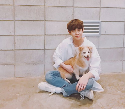 [사진]양요섭 SNS