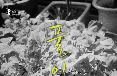 외치는 홍상수의 22번째 영화 '풀잎들'