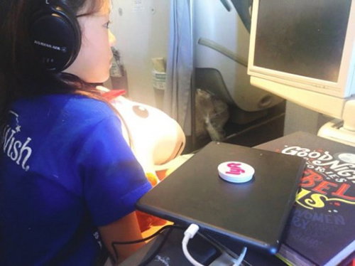[사진]야노 시호 블로그