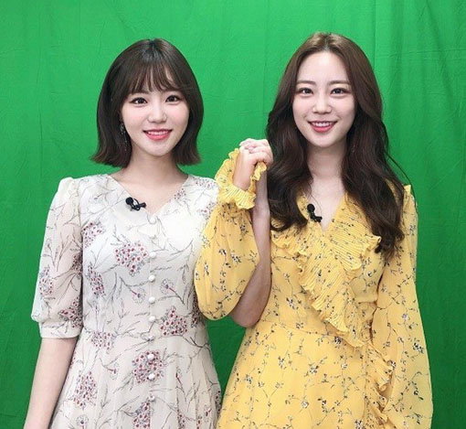 허영지