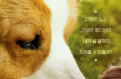 헨리,'안녕 베일리'로 할리우드 영화 첫 출연