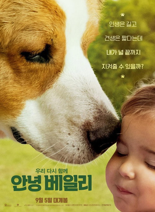 [사진]CJ엔터테인먼트 제공, 영화 '안녕 베일리' 포스터