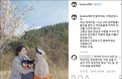 구혜선, 에세이 '나는 너의 반려동물' 펴내