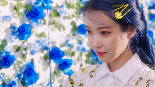 [사진]카카오 M 제공, 아이유 미니 5집 타이틀곡 '블루밍' 이미지