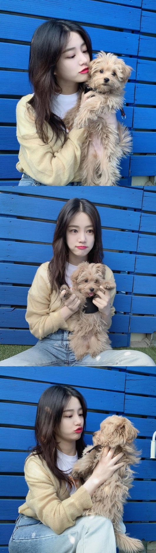 [사진]이유비 인스타그램