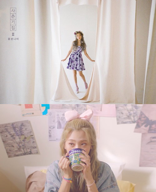 볼빨간사춘기,나비와고양이