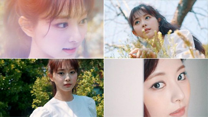 트와이스 쯔위