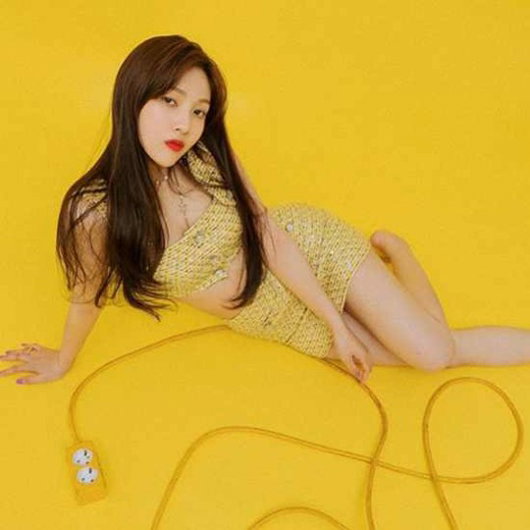 레드벨벳 조이