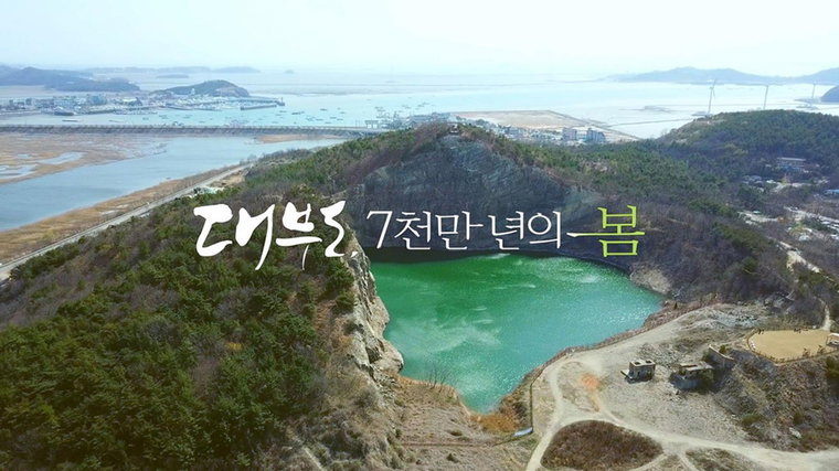 [사진]OBS 제공, 대부도, 7천만년의 봄