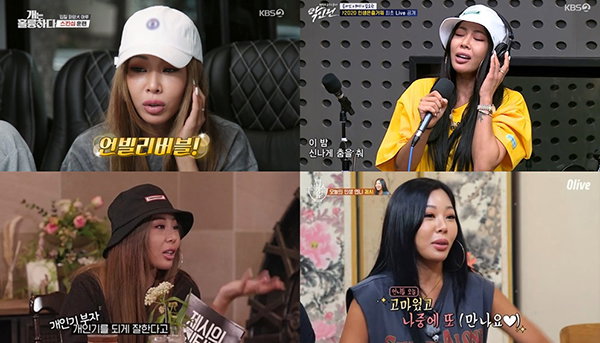 사진 = KBS2 '개는 훌륭하다', '악인전', SBS 모비딕 '제시의 쇼!터뷰', Olive '밥블레스유2' 캡처