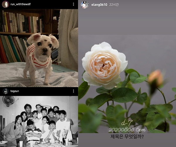 사진 출처 = 나인, 이랑, 토근 인스타그램