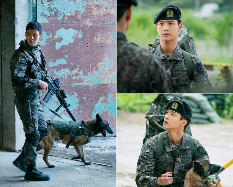 사진제공 =  OCN