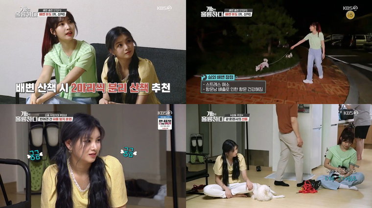 사진 = KBS 2TV '개는 훌륭하다' 방송 캡처