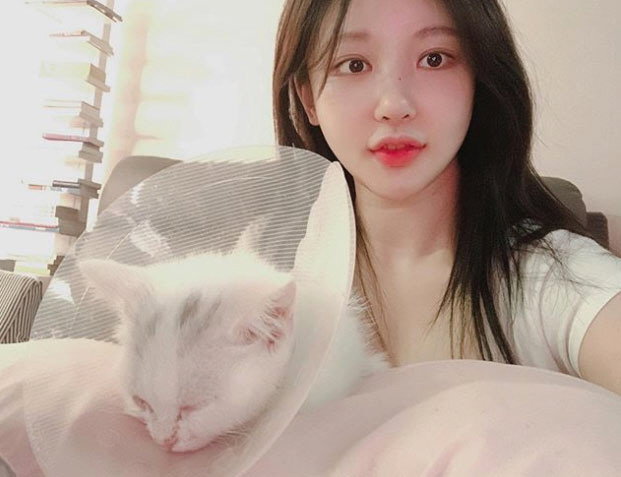 사진=아지땅 인스타그램