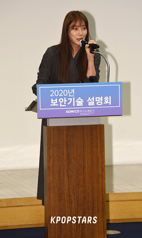 손담비