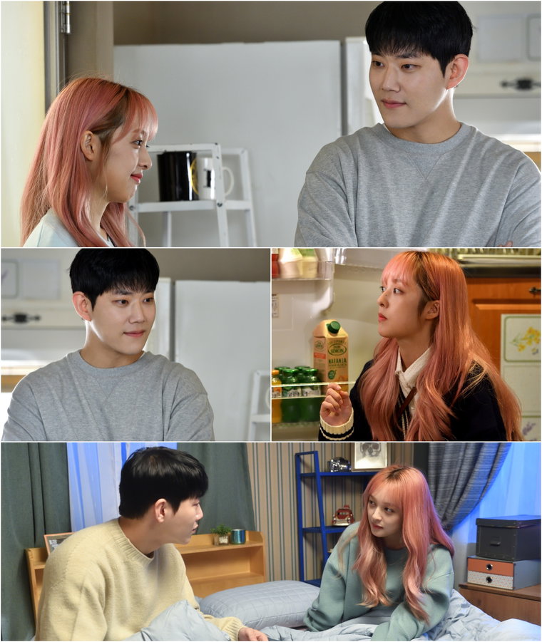사진제공 =  KBS