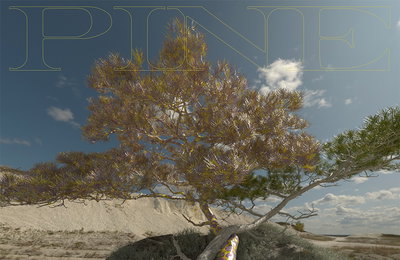 '실력파 신예' CHE, 오늘 (17일) 첫 EP 앨범 'PINE' 발매! 비와이·수민·소금·설호승 황금 라인업