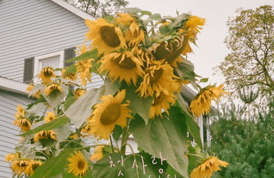 정준일, 신곡 '첫사랑 (feat.SOLE)'으로 음원차트 1위 석권
