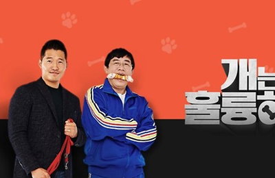 "개는 훌륭하다" 강형욱 출연료도 미지급…KBS "외주 문제"