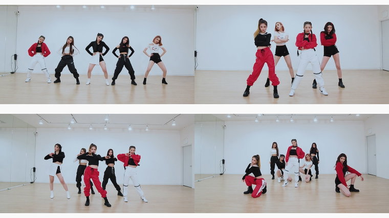 트라이비