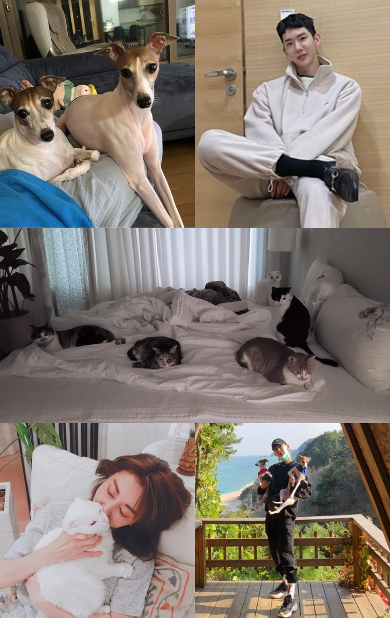 사진제공= MBC &lsquo;폰클렌징&rsquo;