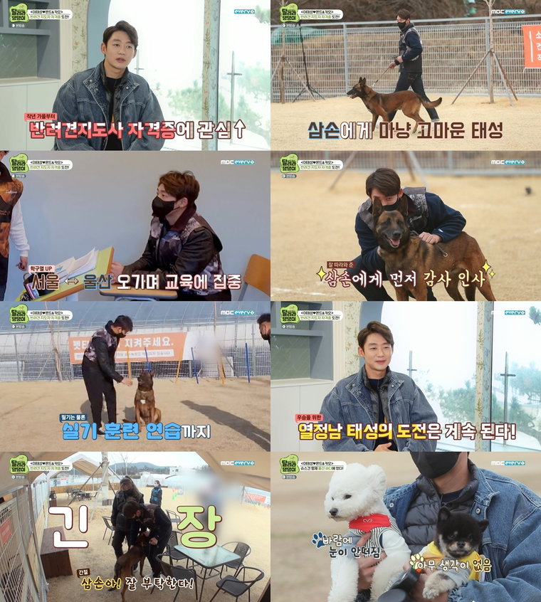 사진제공 = MBC에브리원 &lsquo;두근두근 레이스 <달려라 댕댕이>&rsquo;