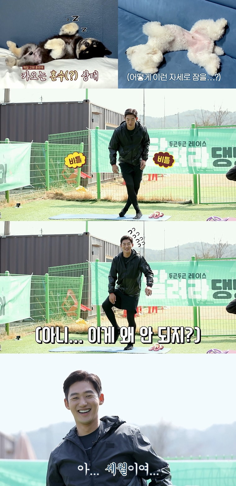 사진제공 = MBC에브리원 &lsquo;두근두근 레이스 <달려라 댕댕이>&rsquo;