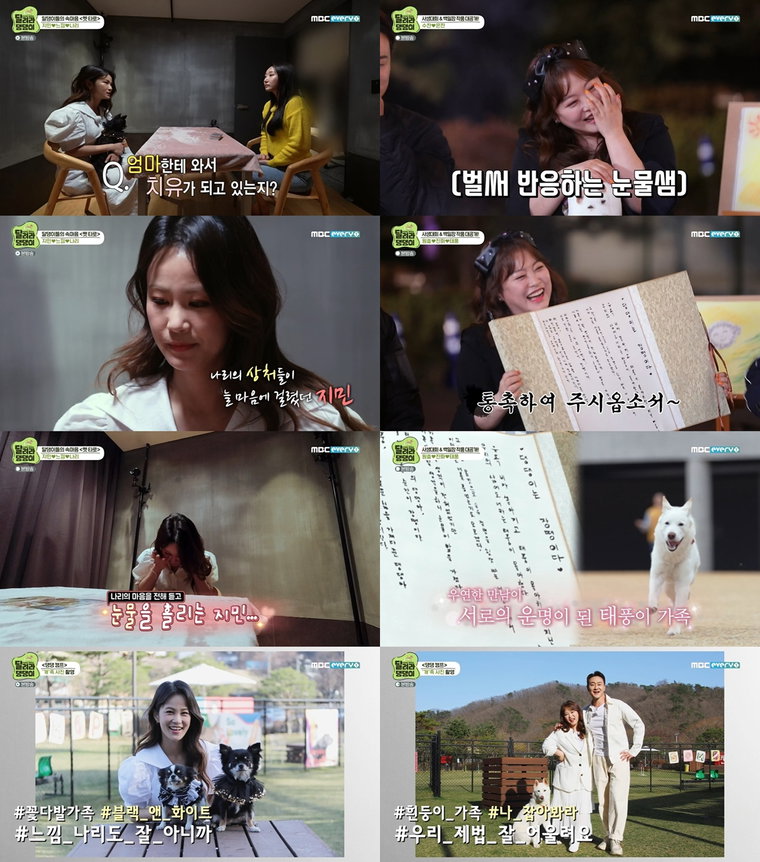 사진제공 = MBC에브리원 &lsquo;두근두근 레이스 <달려라 댕댕이>&rsquo;