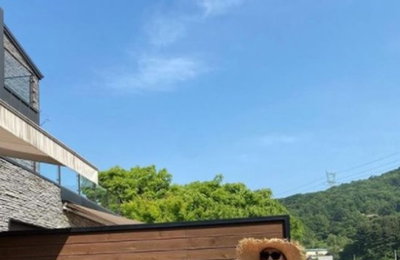 '배용준♥' 박수진, 대학생 같은 애둘맘…소멸 직전 소두