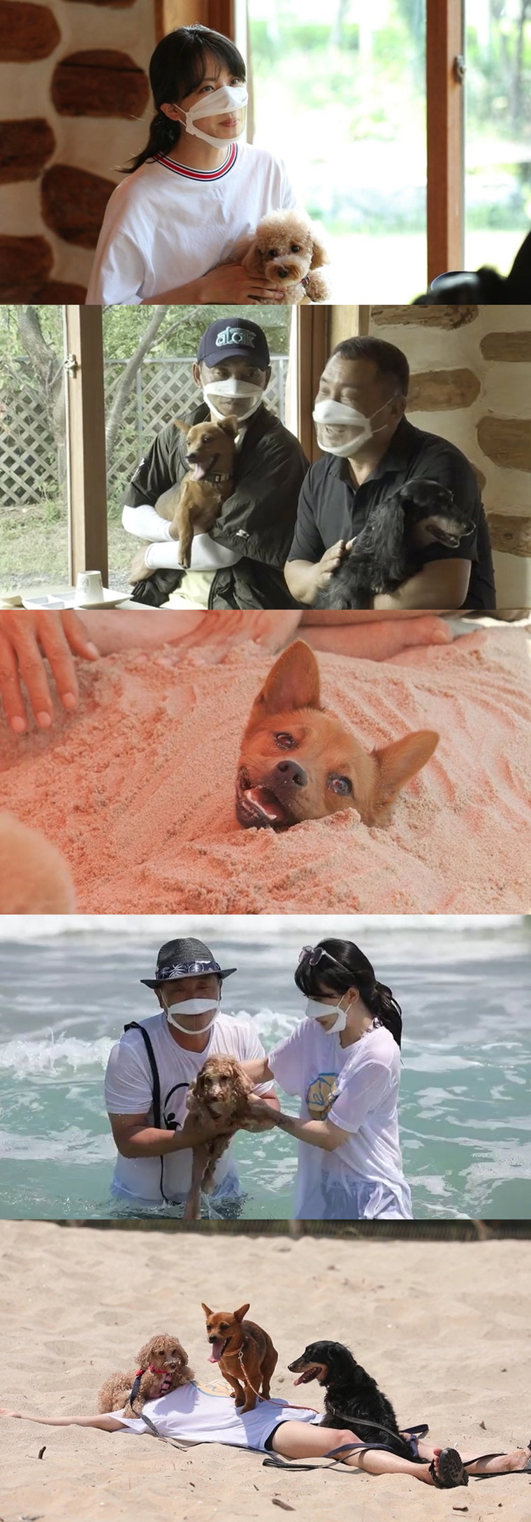 사진제공=MBN &lsquo;개미랑 노는 베짱이&rsquo;