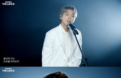 인피니트 남우현, 박효신 'Goodbye' 완벽 커버…글로벌 팬심 저격한 '꿀 보이스'