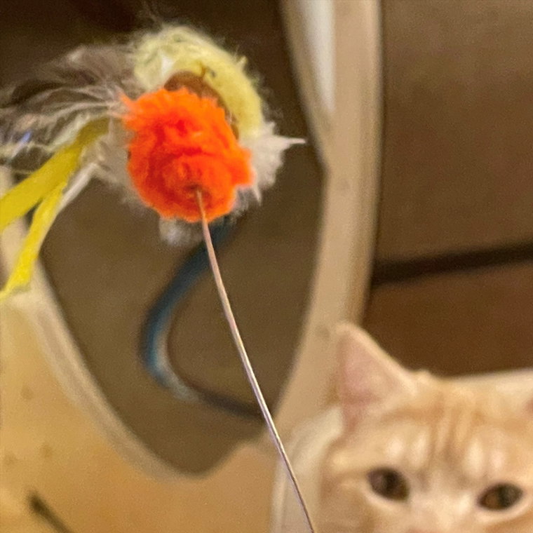 사진 제공 = 하이라인엔터테인먼트