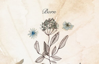 빅마마, 8개월만 컴백…12년 만의 정규앨범 ‘Born(本)’ 발매